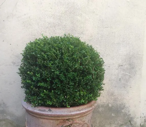 Chanteclair Hotel Cannes