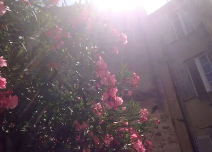 Hotel Chanteclair Cannes