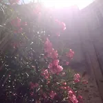 Ξενοδοχείο Chanteclair Κάννες