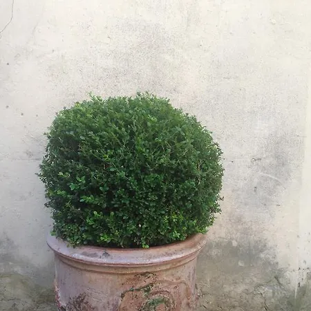 Chanteclair Hotel Cannes