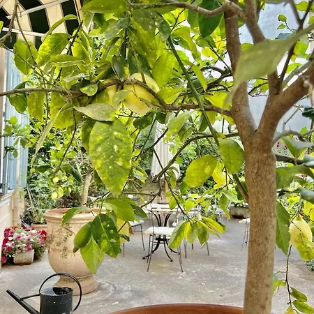 Hotel Chanteclair Cannes